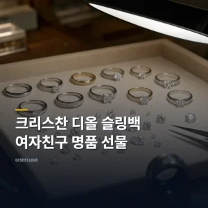 크리스찬 디올 슬링백 – 여자친구 명품 선물