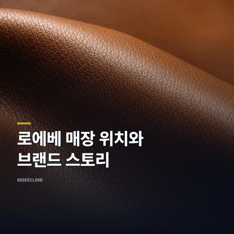 로에베 매장 위치와 브랜드 스토리