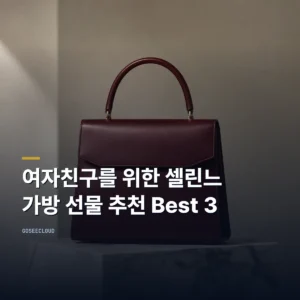 여자친구를 위한 셀린느 가방 선물 추천 Best 3