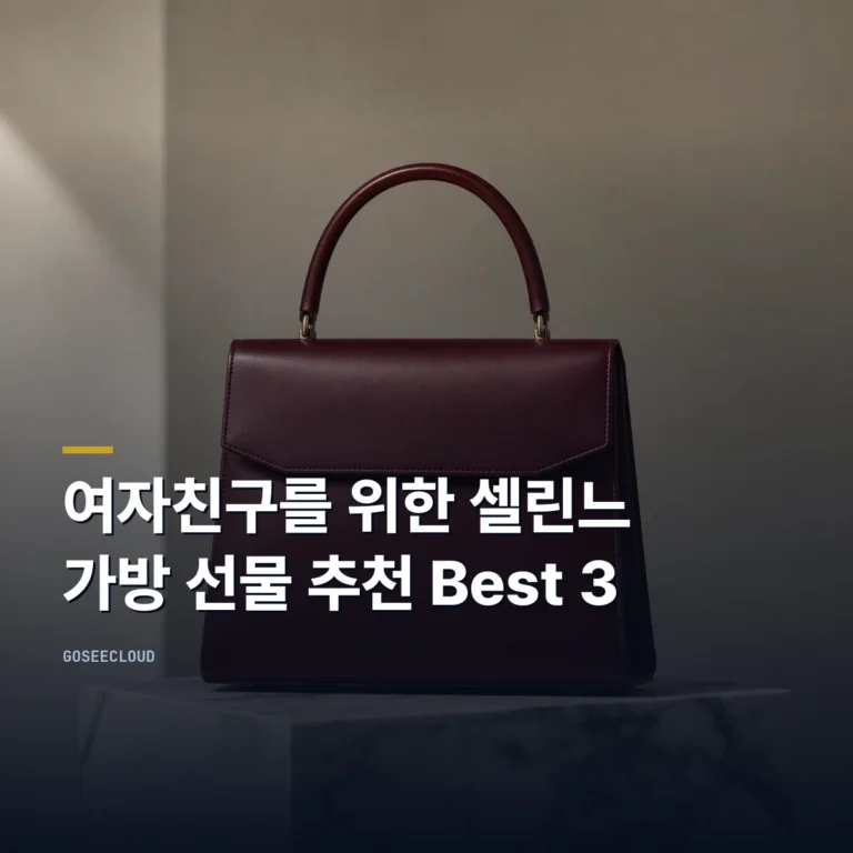 여자친구를 위한 셀린느 가방 선물 추천 Best 3