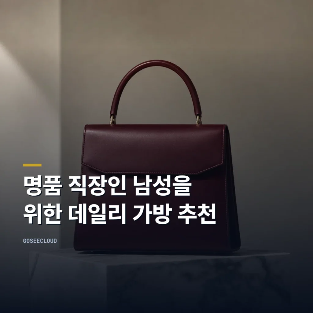 명품 직장인 남성을 위한 데일리 가방 추천