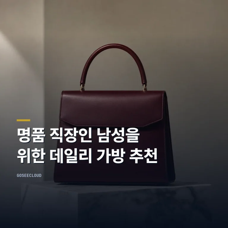 명품 직장인 남성을 위한 데일리 가방 추천