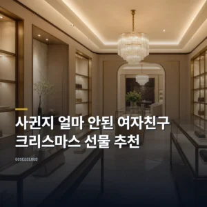 사귄지 얼마 안된 여자친구 크리스마스 선물 추천