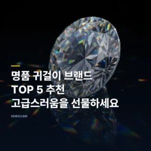명품 귀걸이 브랜드 TOP 5 추천: 고급스러움을 선물하세요