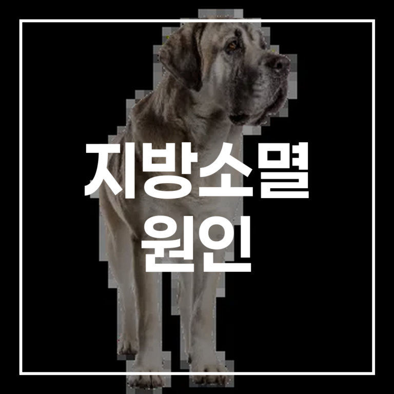 지방소멸 더 이상 외면할 수 없는 현실 원인 뜻 현황 영향 총정리