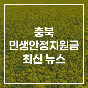 충북 민생안정지원금 최신 뉴스: 보은·괴산·영동군 정책 변화 가이드