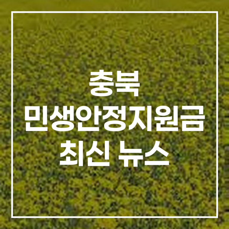 충북 민생안정지원금 최신 뉴스: 보은·괴산·영동군 정책 변화 가이드