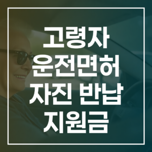 2026년 고령자 운전면허 자진 반납 지원금 실운전 20만원