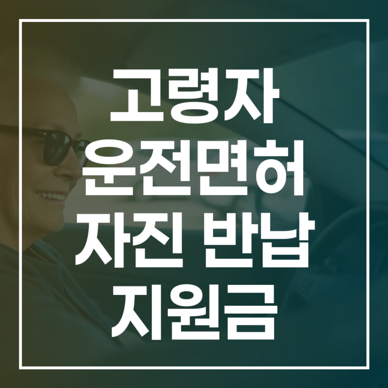 2026년 고령자 운전면허 자진 반납 지원금 실운전 20만원