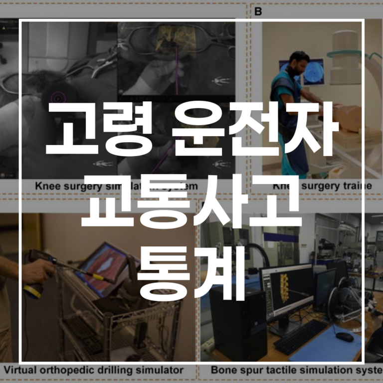 2026년 최신 고령 운전자 교통사고 통계: 원인과 예방