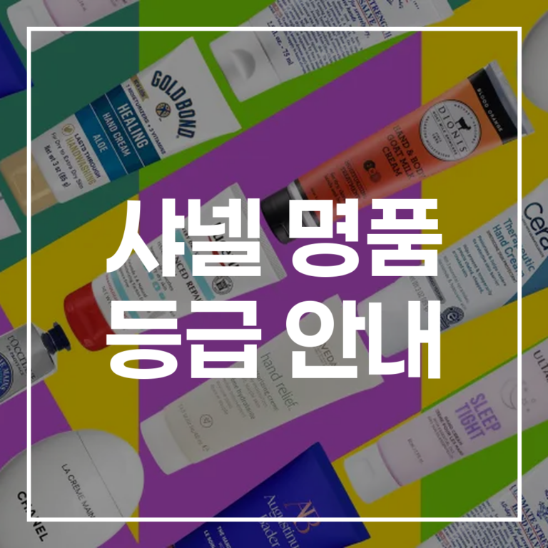 2026 샤넬 루이비통 구찌 명품 등급 완벽 가이드