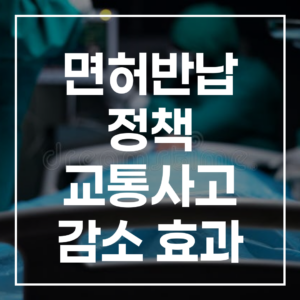 면허반납 정책 교통사고 감소 효과, 정말 있을까?