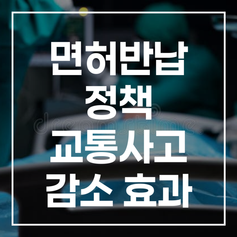 면허반납 정책 교통사고 감소 효과, 정말 있을까?