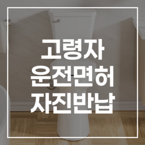2026년 고령자 운전면허 자진반납: 지원금, 혜택, 절차 총정리