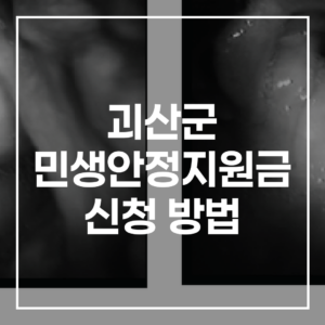 2026 괴산군 민생안정지원금 신청 방법 50만원 지급 일정 사용기한