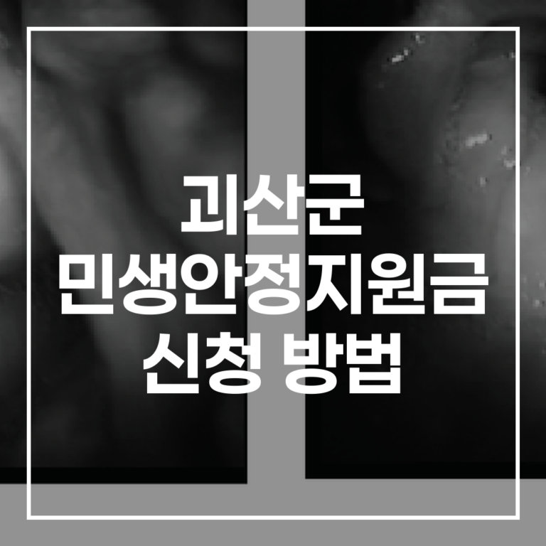 2026 괴산군 민생안정지원금 신청 방법 50만원 지급 일정 사용기한