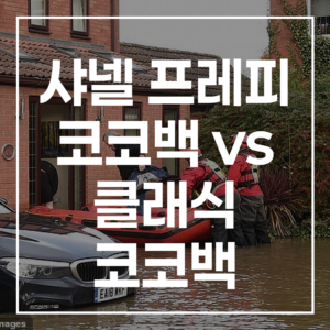 샤넬 프레피 코코백 vs 클래식 코코백: 완벽 비교 분석 및 스타일 가이드