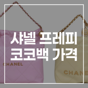 샤넬 프레피 코코백 가격, 2026년 최신 정보: 시세, 가격 비교 총정리