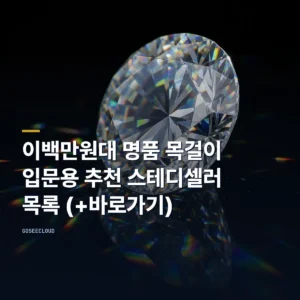 이백만원대 명품 목걸이 | 입문용 추천 스테디셀러 목록 (+바로가기)