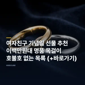 여자친구 기념일 선물 추천 | 이백만원대 명품 목걸이 호불호 없는 목록 (+바로가기)