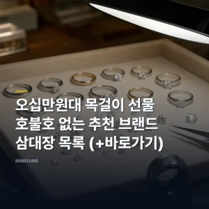 오십만원대 목걸이 선물 | 호불호 없는 추천 브랜드 삼대장 목록 (+바로가기)