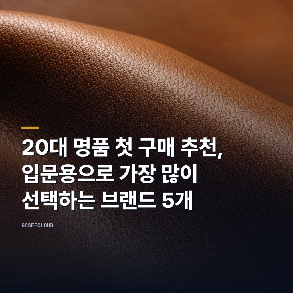 20대 명품 첫 구매 추천, 입문용으로 가장 많이 선택하는 브랜드 5개