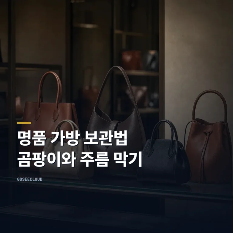 명품 가방 보관법 | 곰팡이와 주름은 자리에서 갈립니다 대표 이미지