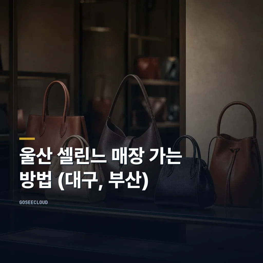 울산 셀린느 매장 가는 방법 (대구, 부산)