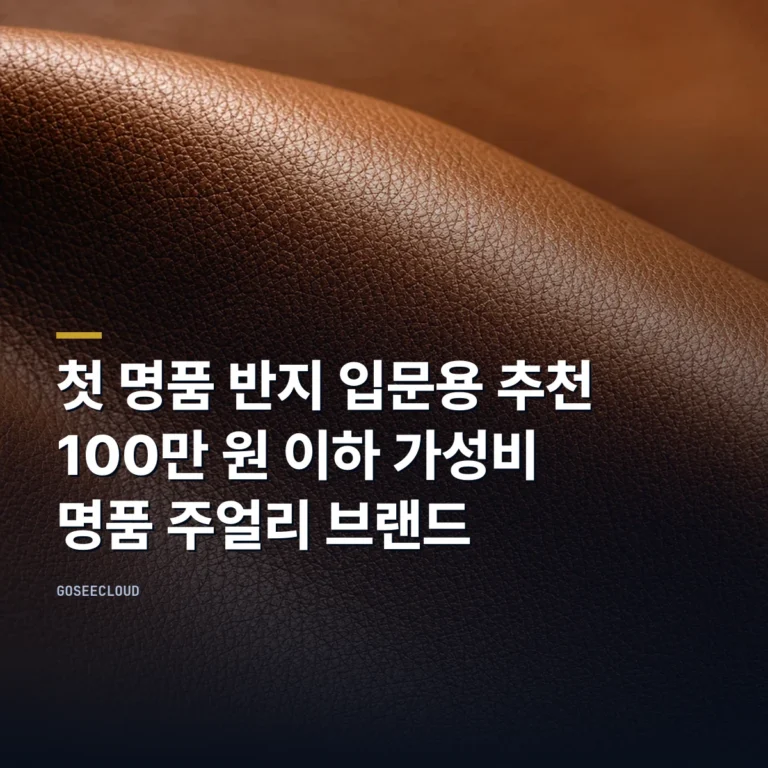 첫 명품 반지 입문용 추천 | 100만 원 이하 가성비 명품 주얼리 브랜드