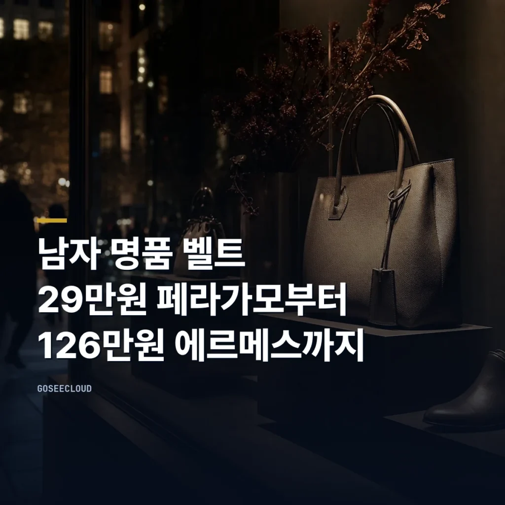 남자 명품 벨트 | 29만원 페라가모부터 126만원 에르메스까지 대표 이미지