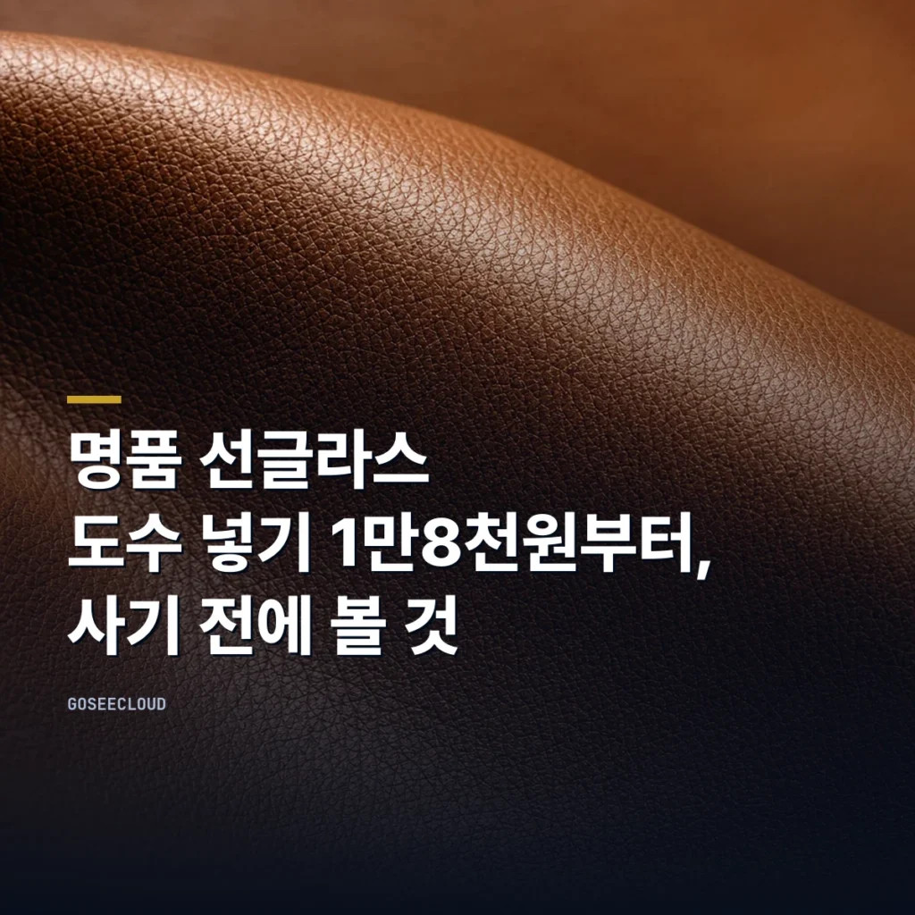 명품 선글라스 | 도수 넣기 1만8천원부터, 사기 전에 볼 것 대표 이미지
