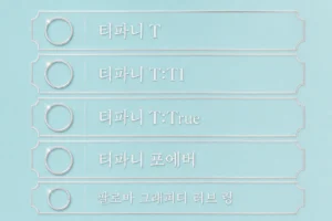 티파니 반지 가격 | T라인 가격대와 라인 구조 (+공식가 확인)