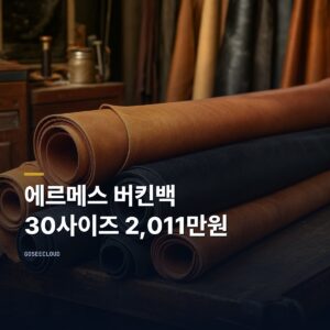 에르메스 버킨백 가격 | 30사이즈 토고 2,011만원, 연 2회 오릅니다