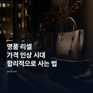 명품 리셀 | 가격 인상 시대 합리적으로 사는 법 (+확인하기)
