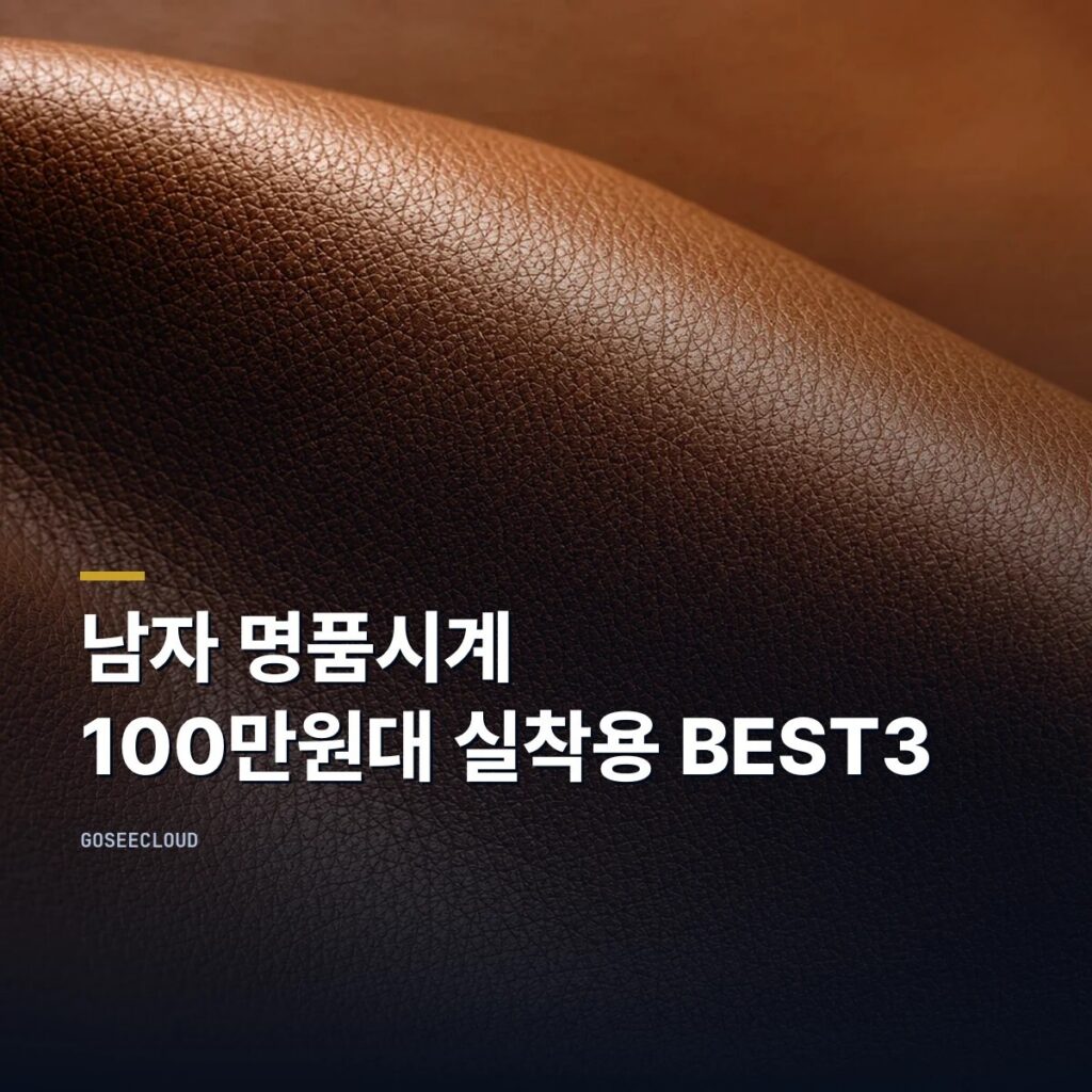 남자 명품시계 | 100만원대 실착용 BEST3 (+최저가 확인)