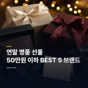 연말 명품 선물 | 50만원 이하 BEST 5 브랜드 (+가격 확인)