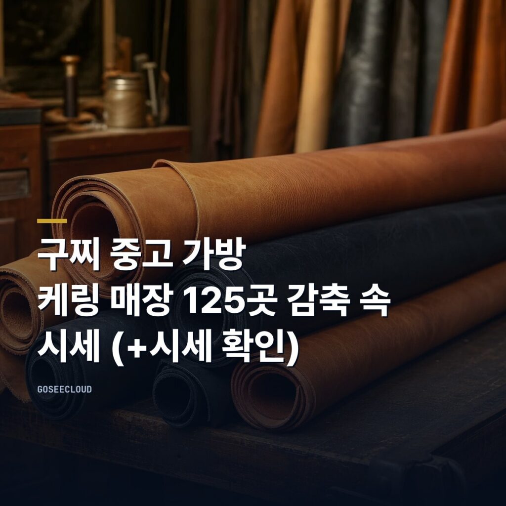 구찌 중고 가방 | 케링 매장 125곳 감축 속 시세 (+시세 확인)