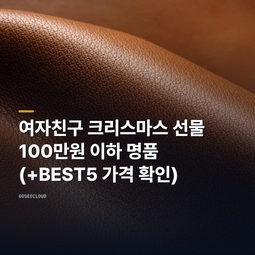 여자친구 크리스마스 선물 | 100만원 이하 명품 (+BEST5 가격 확인)